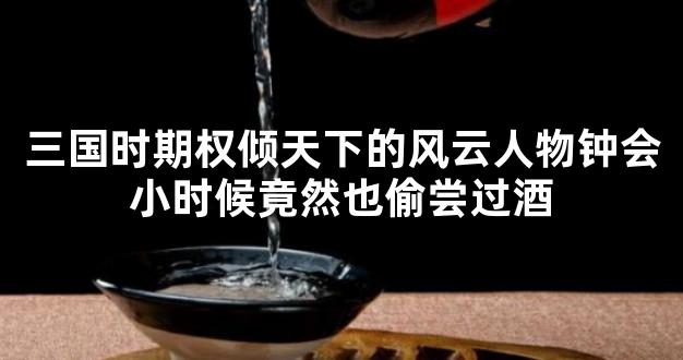 三国时期权倾天下的风云人物钟会小时候竟然也偷尝过酒