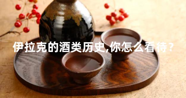 伊拉克的酒类历史,你怎么看待？