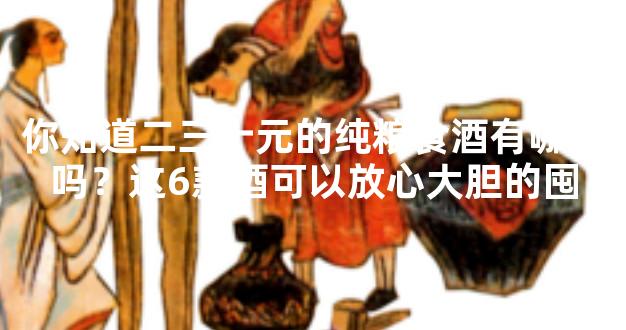 你知道二三十元的纯粮食酒有哪些吗？这6款酒可以放心大胆的囤