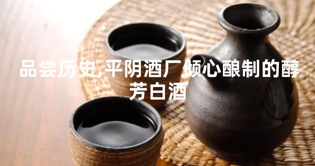 品尝历史,平阴酒厂倾心酿制的醇芳白酒