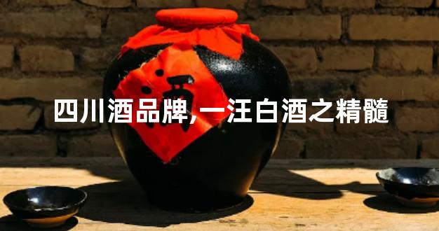 四川酒品牌,一汪白酒之精髓