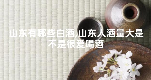 山东有哪些白酒,山东人酒量大是不是很爱喝酒