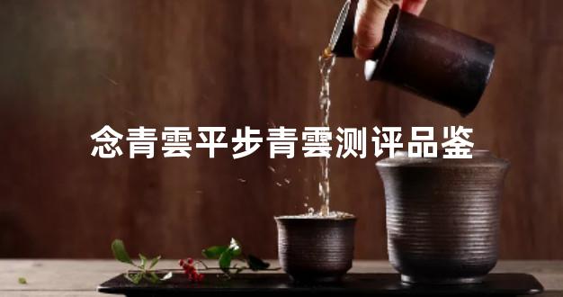 念青雲平步青雲测评品鉴