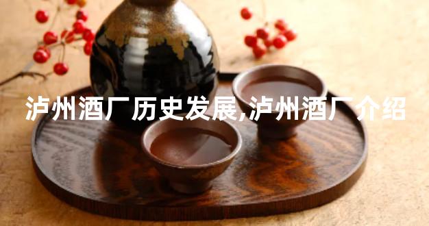 泸州酒厂历史发展,泸州酒厂介绍