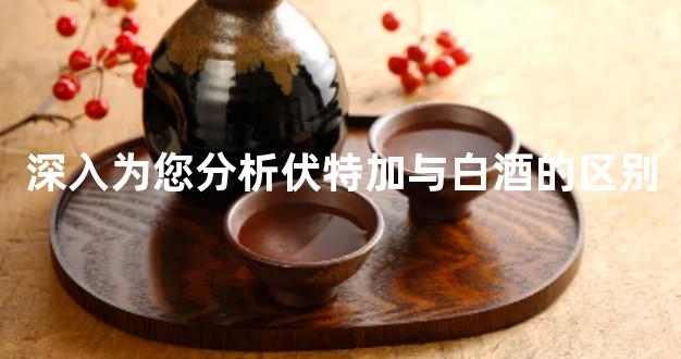 深入为您分析伏特加与白酒的区别