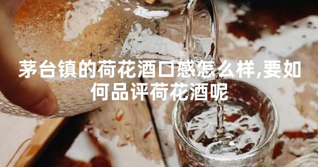 茅台镇的荷花酒口感怎么样,要如何品评荷花酒呢