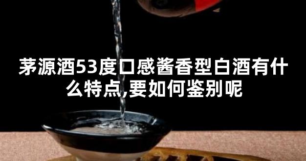 茅源酒53度口感酱香型白酒有什么特点,要如何鉴别呢